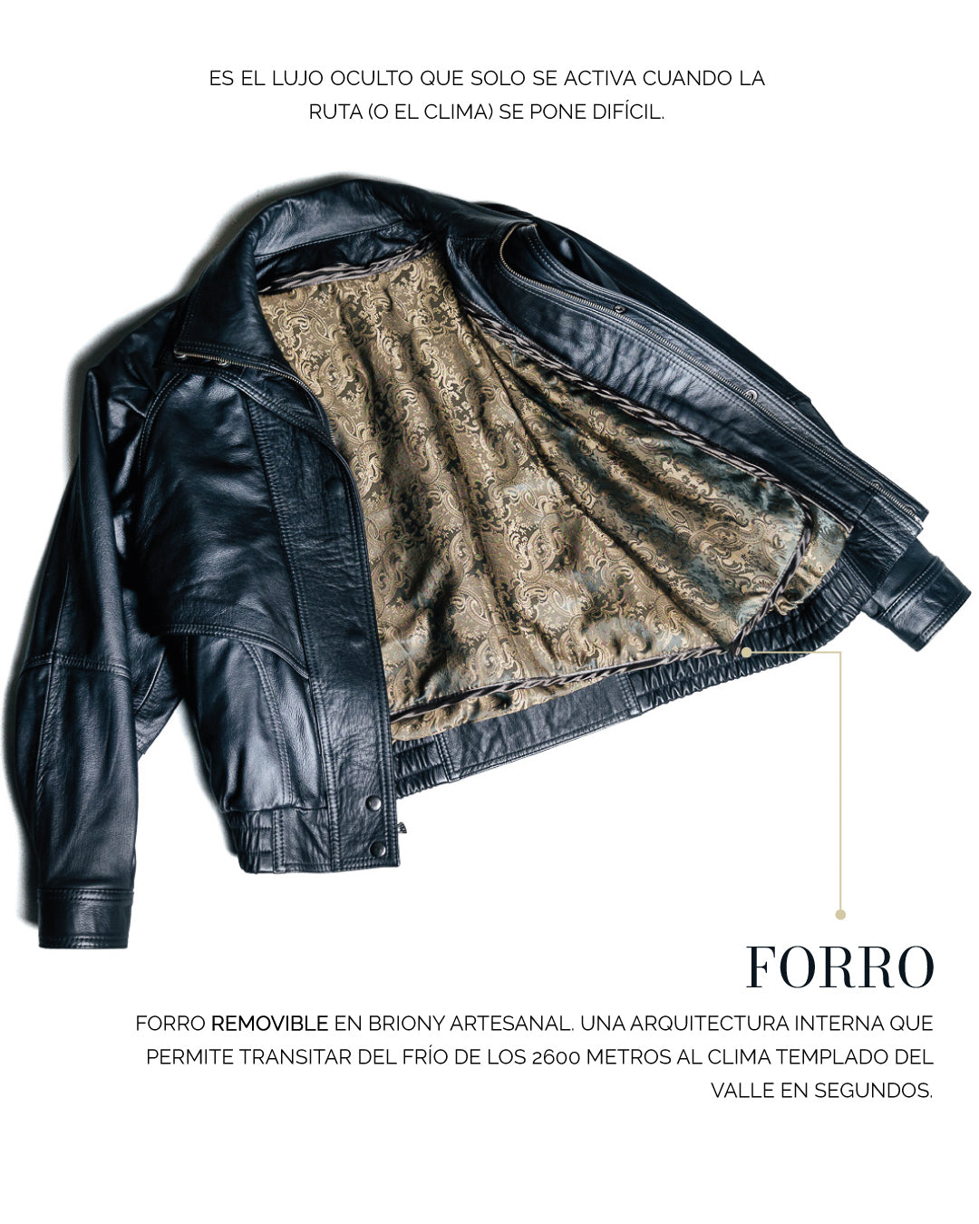 Chaqueta Transversal 26