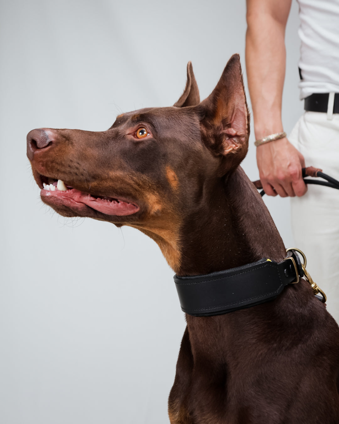 Collar para Razas Grandes