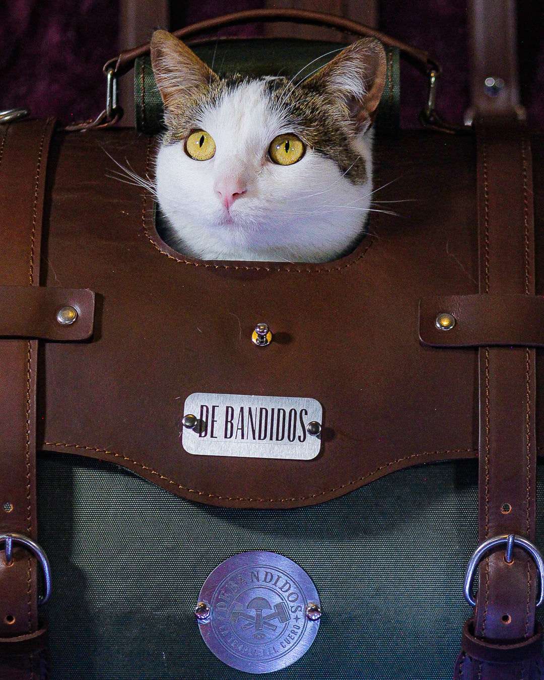 Guacal para mascotas pequeñas